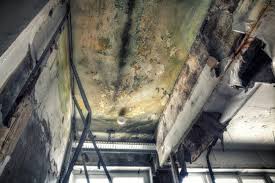 Best Post-Construction Mold Inspection  in Mineral Point, WI